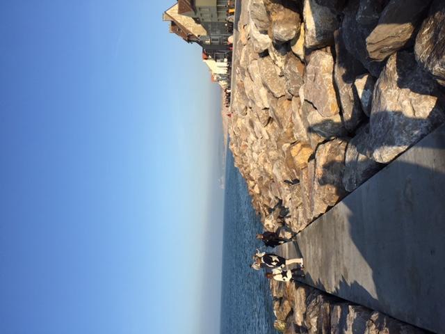Le Studio De La Digue Wissant Exterior photo